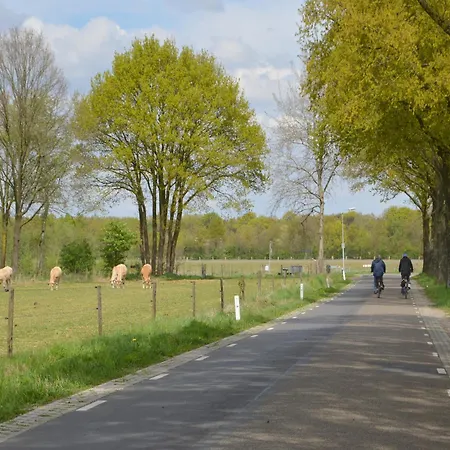 Alluring In Limburg Near Forest De Horst