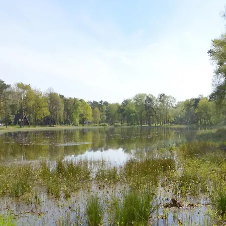 Alluring In Limburg Near Forest De Horst