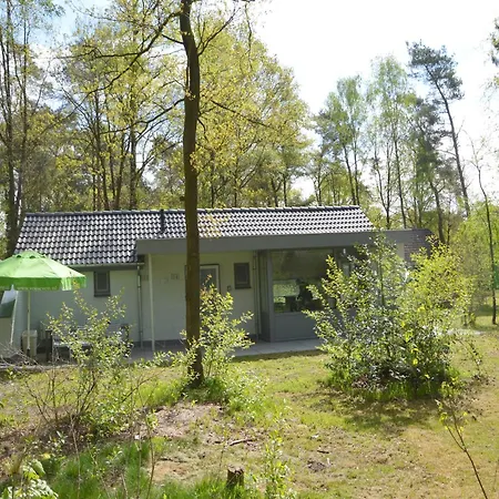Holiday home Alluring In Limburg Near Forest De Horst