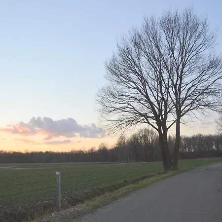 Alluring In Limburg Near Forest *