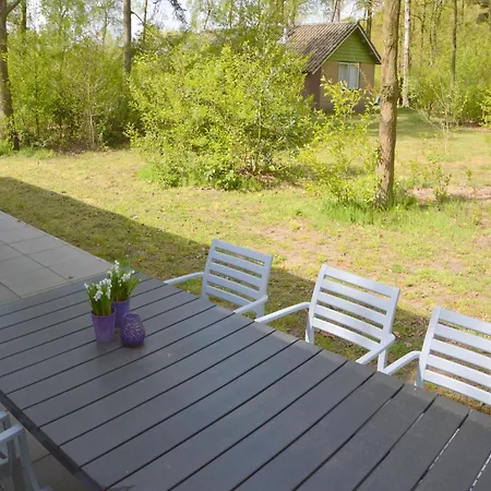 Alluring In Limburg Near Forest *