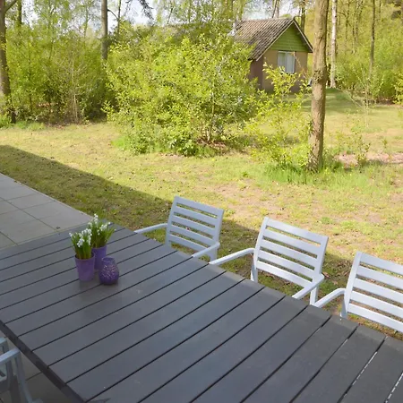 Alluring In Limburg Near Forest