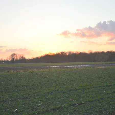 Vakantiehuis Alluring In Limburg Near Forest