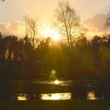 Alluring In Limburg Near Forest *