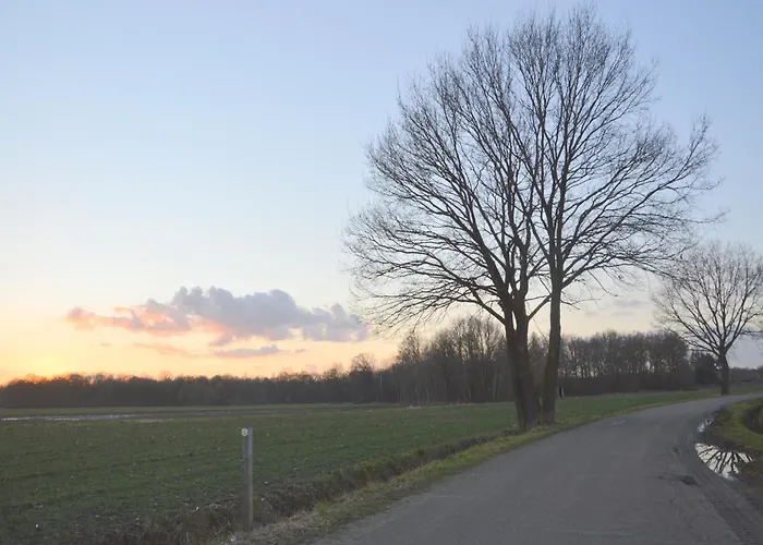 Alluring In Limburg Near Forest 別荘 *