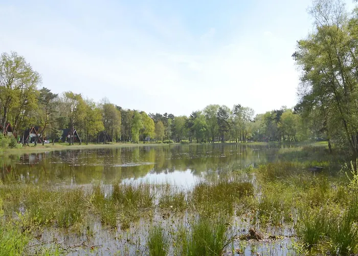 Alluring In Limburg Near Forest