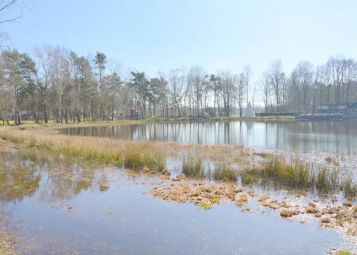 別荘 Alluring In Limburg Near Forest De Horst