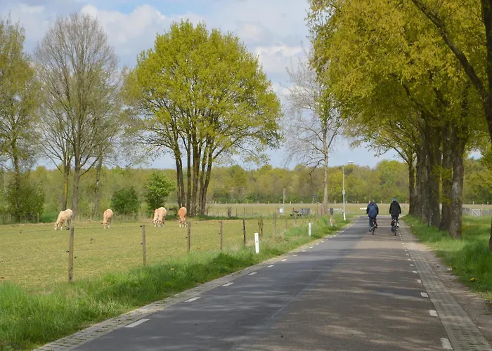 Alluring In Limburg Near Forest
