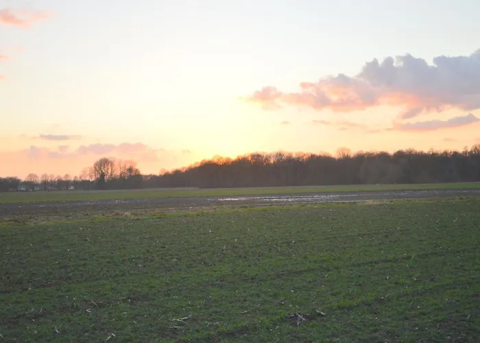 別荘 Alluring In Limburg Near Forest