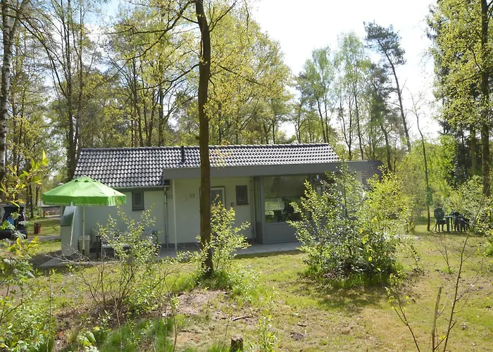 Alluring In Limburg Near Forest * De Horst