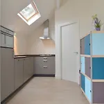 Alluring In Limburg Near Forest *