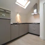 Tatil Evi Alluring In Limburg Near Forest *