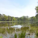 Alluring In Limburg Near Forest