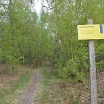 Alluring In Limburg Near Forest *