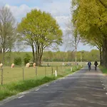 Alluring In Limburg Near Forest