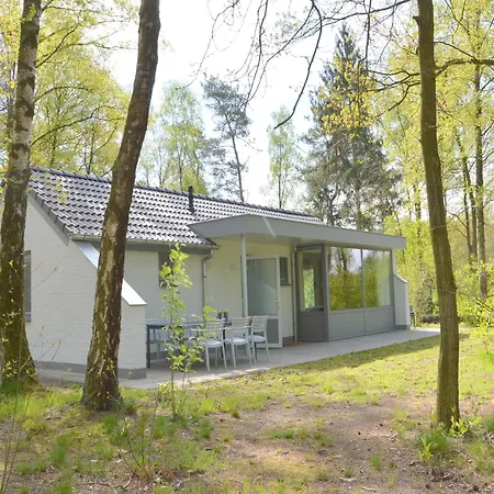 Ferienhaus Alluring In Limburg Near Forest
