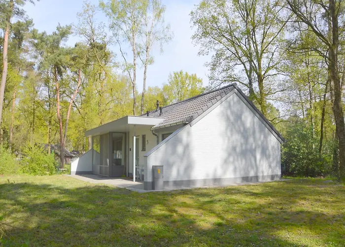 Alluring In Limburg Near Forest