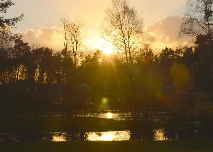 Alluring In Limburg Near Forest *